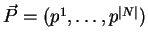 $\vec{P} = (p^1, \ldots, p^{\vert N\vert})$
