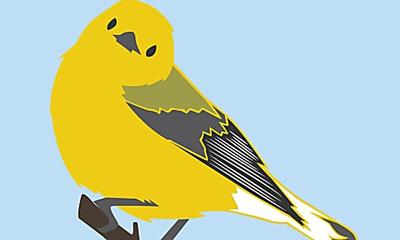 Bird Lovers Go Crazy for This Poster with Every Single Bird in North America on It