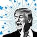 Donald Trump's 16-tweet Tuesday tells the wild story of his entire presidency